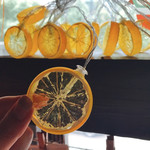 Светодиодная гирлянда Лимон, питание от сети SLZ-571