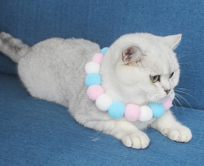 Ожерелье -игрушка для кошек.