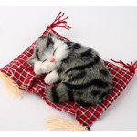 Маленький спящий котенок на коврике M02