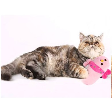 Плюшевая подушка - игрушка для собак и кошек