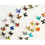 Прозрачные реалистичные бабочки 3D H1-003